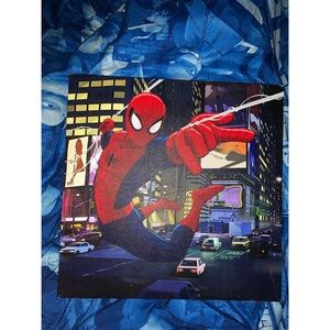 Marvel Spiderman wall canvas